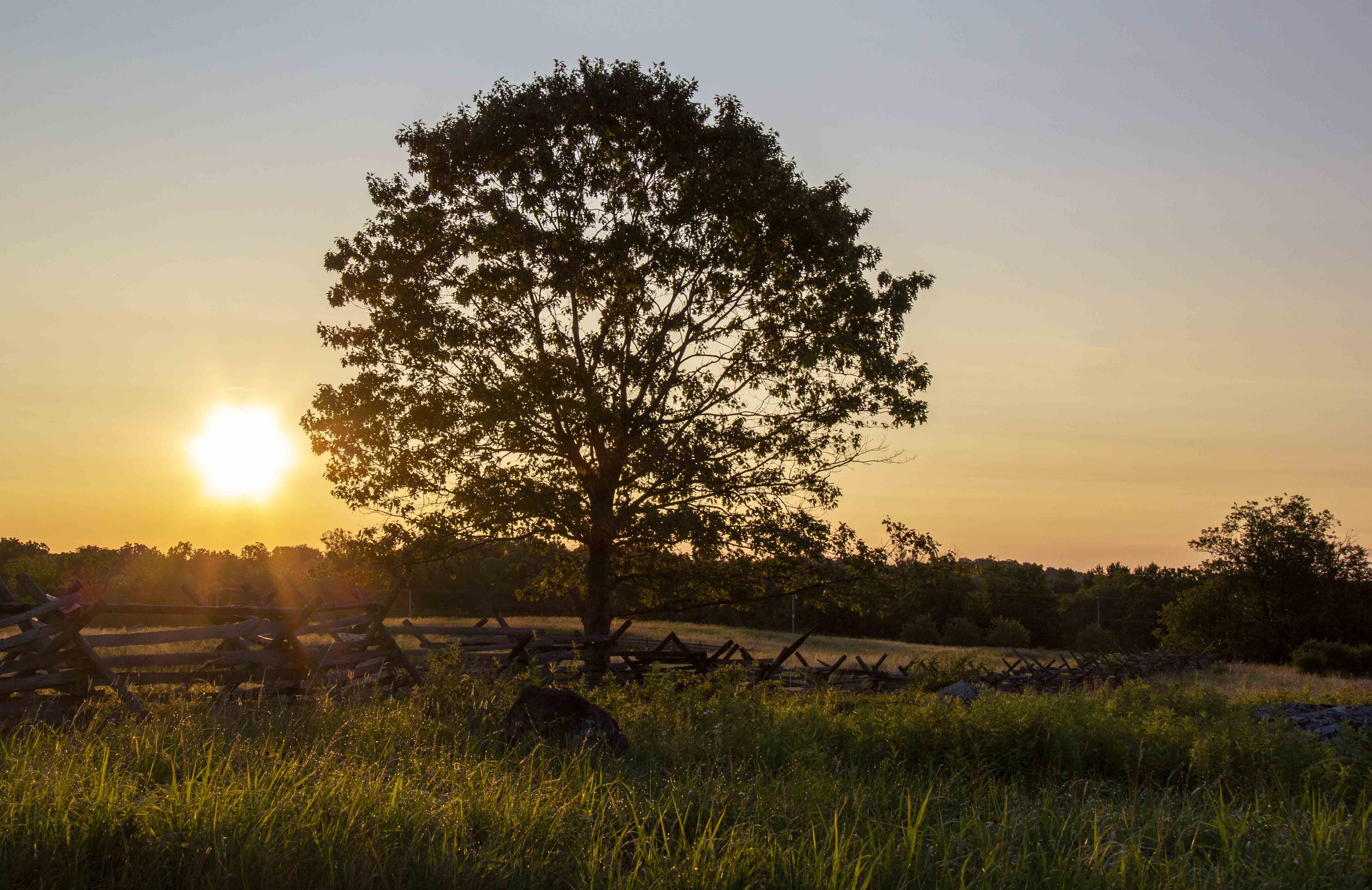 Sunrise over a tree, split-rail fence and fields at Gettysburg National Military Park